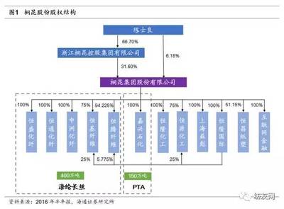 總投資35.08億,同時啟動兩個差別化纖維項目建設!桐昆股份:要做百萬噸級聚酯工廠&ldquo;大哥大&rdquo;!