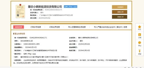 小鵬汽車深化產業布局 1億元設立新能源投資公司，分公司注冊同步啟動