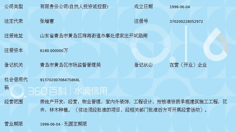 青島隆海集團(tuán)股份有限公司注冊(cè)指南與要點(diǎn)解析